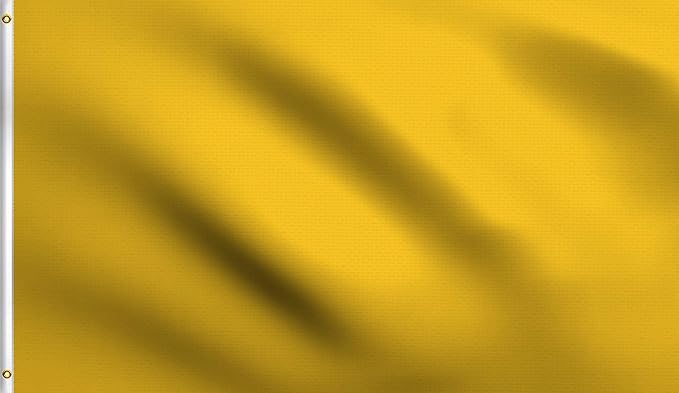 DMSE Solid Gold Flag, 3x5 Flag, UV Resistant, Fade Resistant Material with Metal Grommets (3ft x 5ft), (Polyester), (Gold)