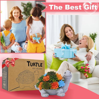 Outdoor Turtle Key Hider Statue - Cute Succulent Turtle Hide a Key Outdoor Decorative - Small Gift Box for Women, Home Decor & Gifts