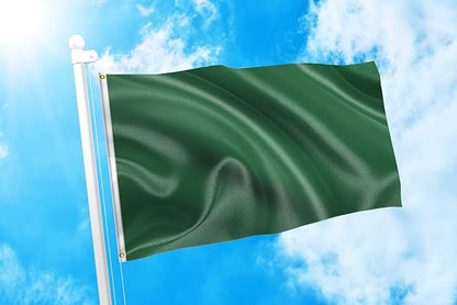 DMSE Solid Dark Green Flag, 2x3 Flag, UV Resistant, Fade Resistant Material with Metal Grommets (2ft x 3ft), (Polyester), (Dark Green)