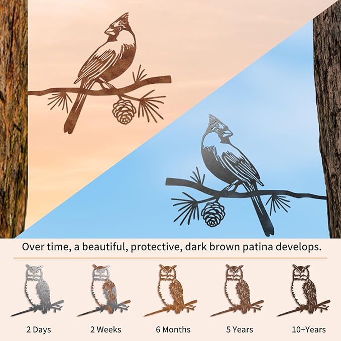 NOAHAMMER Birds Silhouette Yard Decor - Outdoor Metal Rusty Owl Statue Garden Decoration Art - Art Gifts Steel Metal Silhouette Bird on Tree