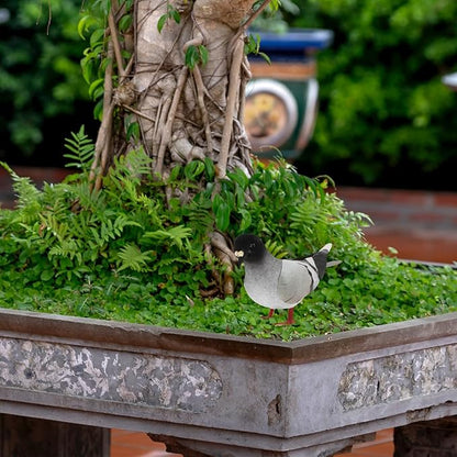 5Pcs Realistic Simulation Pigeon Models Imitation Pigeons for Home and Garden Decor Lifelike Ornamental Birds for Indoor and Outdoor Use for Photography Props