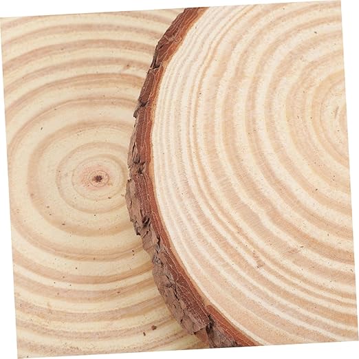 Milisten 2Pcs Garden Stepping Stones Decorative Outdoor Paver for Lawn Decor Thickness for Garden Pathways and Exterior Decoration