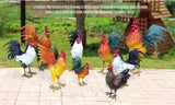 Metal Rooster Decor， Chicken Animal Yard Art Lawn Ornament Figurines Artwork for Outdoor, Patio,Backyard and Home Kitchen Decoration (Multicolor)