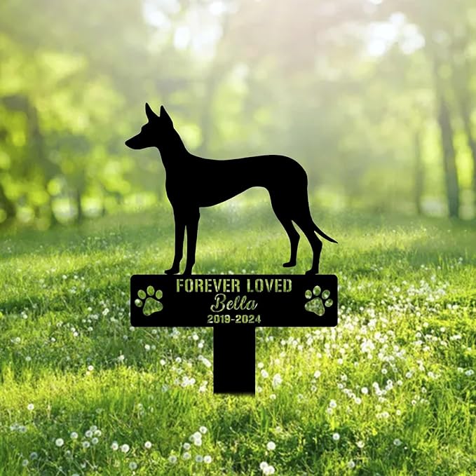 Custom Ibizan Hound Dog Metal Memorial Garden Stake Personalized Pet Grave Marker Name Sign Remembrance Stake Decor Sympathy Dog Loss,Outdoor Statues for Yard Garden Lawn Patio Pathway Grave Gift.