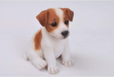HI-LINE Sitting Jack Russel Terrier Puppy Outdoor Garden Statue - 6.5"