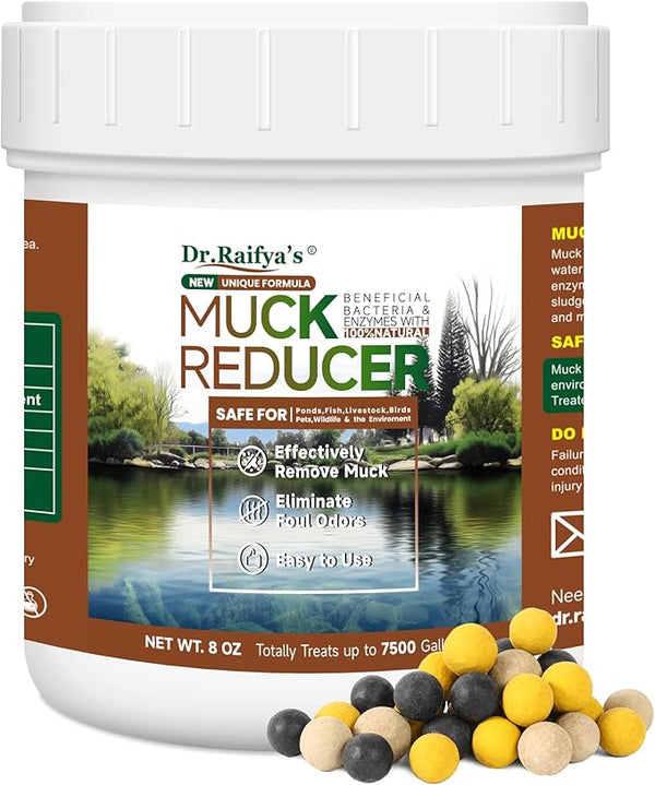 Dr.Raifya's Muck Reducer - 8 OZ - Natural Pond Sludge Solution, Effectively Removes Muck in Koi Pond, Bird Baths, Fountains & Turtle Ponds, Beneficial Bacteria Safe for Fish & Wildlife, Easy to Use