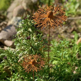 Rusty Metal Wild Flowers Garden Stakes 11.82 x 8.47 inches, Decorative Flowers Yard Stake Metal Art for Outdoor Garden Lawn Decor(Flower-D)