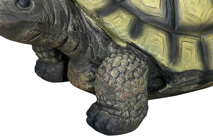 Realistic Turtle Figurine for Garden, Deck, or Indoor Decor – Concrete Tortoise Sculpture with Hand-Painted Shell Detail – Perfect for Landscaping, Pond Areas, or Nature-Themed Home Design