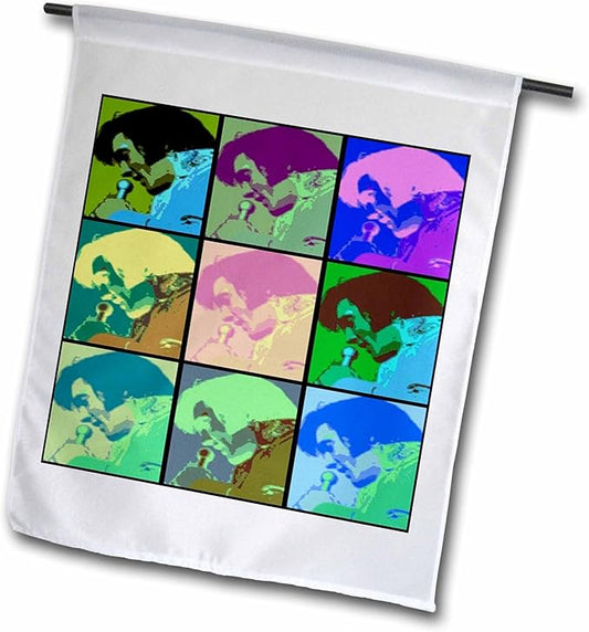 3dRose fl_304487_1 Flag, Image of Collage of Nine Faces of Elvis in Cartoon Colors