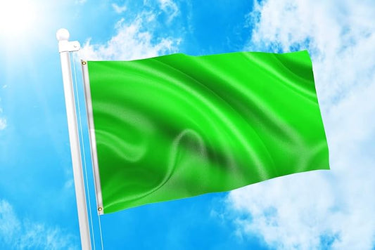 DMSE Solid Neon Green Flag, 3x5 Flag, UV Resistant, Fade Resistant Material with Metal Grommets (3ft x 5ft), (Nylon), (Neon Green)