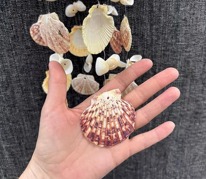 Seashell Windchime Coastal Hanging Decor – Clam Shell Coconut Beach Wind Chime Indoor Outdoor Patio Garden Gift 18”