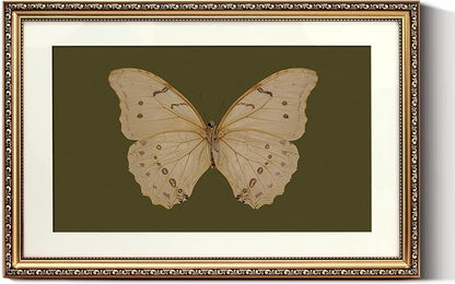 ARPEOTCY Vintage Gold Framed Large Wall Art, Classical White Butterfly Paintings, Dark Moody Green Canvas Prints Artwork with Antique Frame, Victorian Wall Decor for Gallery Living Room 16x24 inch