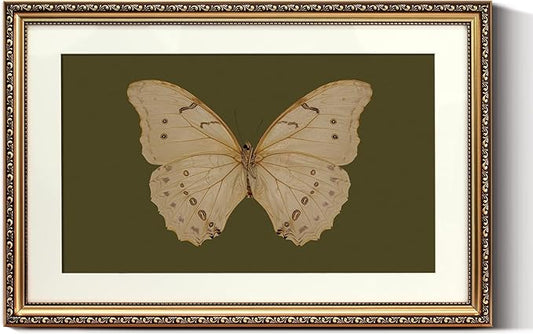 ARPEOTCY Vintage Gold Framed Large Wall Art, Classical White Butterfly Paintings, Dark Moody Green Canvas Prints Artwork with Antique Frame, Victorian Wall Decor for Gallery Living Room 16x24 inch