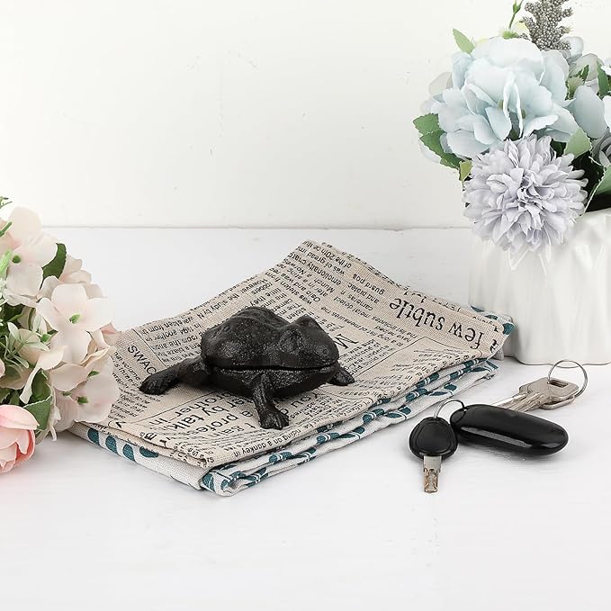 Sumnacon Spare Key Hider Outside Cute Frog Garden Decoration Secret Key Holder for Yard Porch Lawn Bushes, Heavy Cast Iron Hidden Keys Storage Vintage Outdoor Statue for Jewelry Ear Studs, Ring