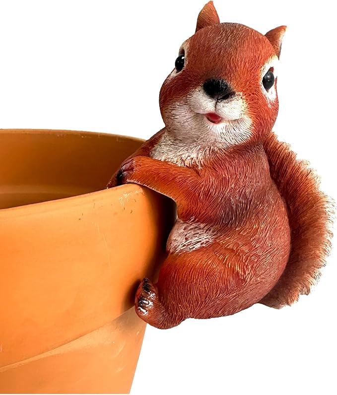 Wrenbury Outdoor Red Squirrel Ornament for Yard and Garden – Sammy The Squirrel Statue for Garden - Decoration Figurine with Lifelike Detail – 6” Weatherproof