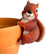 Wrenbury Outdoor Red Squirrel Ornament for Yard and Garden – Sammy The Squirrel Statue for Garden - Decoration Figurine with Lifelike Detail – 6” Weatherproof