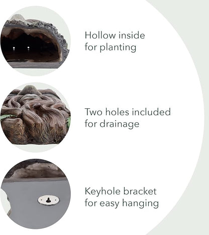 Arcadia Garden Products Large Whimsical Tree Face Planter, 7.5"x11.8", Outdoor Tree Hugger, Man Spirit Sculpture for Garden Art Decor, Birdfeeder, Hangs on Trees, Fences or Walls, Hawthorn