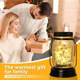 kyoryuger Goat Gifts for Women/Men Goat Solar Lanterns Mom Birthday Animal Lovers Lantern Animal Memorial Lights Solar Garden Decoration for Yard, Patio,Backyard,Porch Torches