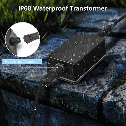 LyLmLe LED Pond Lights with APP Control, 6W SS316 Stainless Steel RGB Underwater Fountain Light with 12V Transformer, IP68 Waterproof Outdoor Underwater Lights for Pond Waterfall, Black Wire