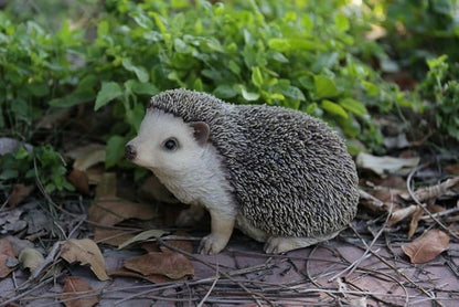 Hi-Line Gift Ltd Crawling Hedgehog Statue,Tan
