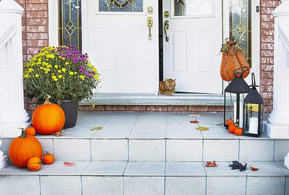 Morning View Pumpkin Garden Stakes Metal Yard Sign Fall Decor Outdoor Autumn Yard Stake Art Pumpkin Lawn Ornaments for Patio Porch Thanksgiving Halloween Harvest 20 Inches Tall Set of 2