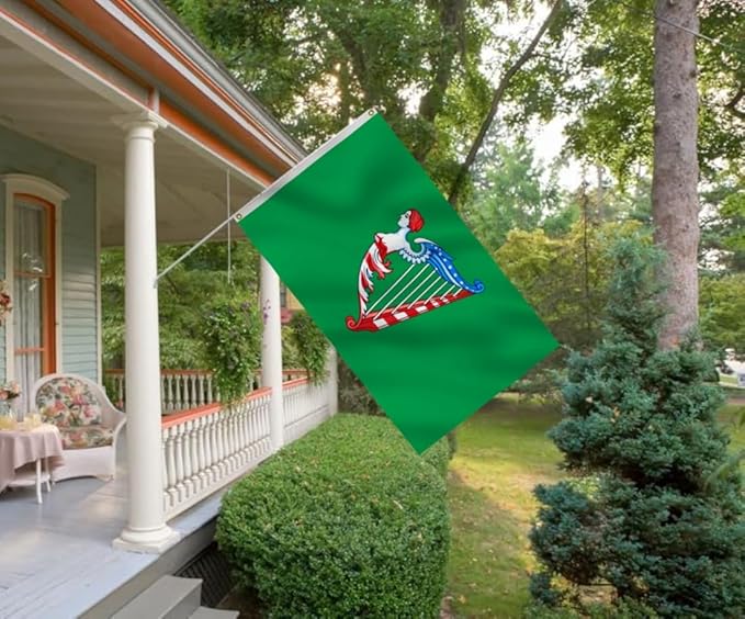 Green Harp Ireland Flag 6X10FT, Am Harp Flags,Both Sides Printed, Men Women Banner,Vibrant Colors, Double Stitched with 2 Brass Grommets, Bar Garden Street Decoration, GYM, Office Decor,Indoor Outdoor Use,Gifts. (US-Green, 3x5ft)