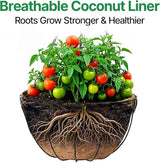 AMAGABELI GARDEN & HOME 4 Pack 15 Inch Metal Plant Hanging Baskets Planter Flower Pots Outdoor Indoor Wire Hanging Basket for Vegetable with Coco Fiber Liners for Garden Home Porch Decor