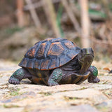 Tortoise Turtle Statue,Resin Garden Sculpture Indoor/Outdoor Yard Lawn Ornament,Home Decor (Large)