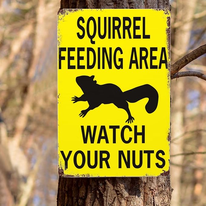 Retro Funny Metal Sign Sheet Signs Tin Sign,Squirrel Feeding Area Watch Your Nuts,Outdoor Home Wall Decoration,Size：8x12inch