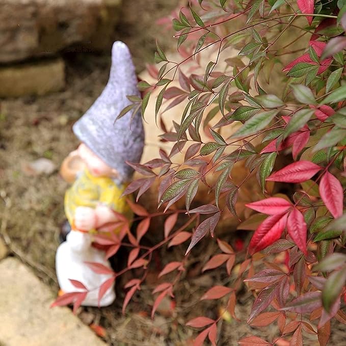Garden Ornaments Decor Statue Outdoor,Abstract Unique Statue Sculpture Creative Outdoor Garden Courtyard Statue Decoration Ornament,Courtyard Garden Balcony Boy Feeding Goose Statue Feeding
