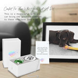 Mooncraftlogy Dog Memorial Gifts, Unique Loss of Pet Sympathy Idea, Green Crystal Ball Rainbow Suncatcher with Paw Print for Cat or Dog Remembrance and Bereavement