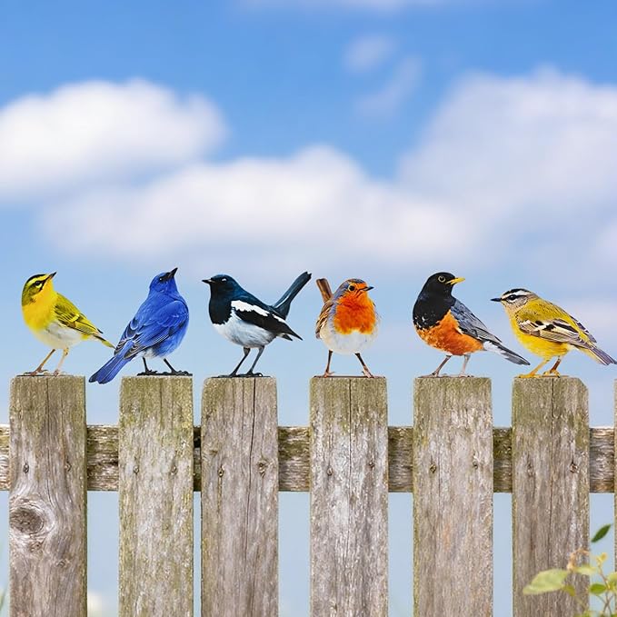 6 pcs Vivid Birds Decoration Metal Birds Fence Decorations Double-Sided Printed Birds Yard Decor Outdoor Bird Wall Decor Suitable for Bird 2D Sculptures Garden and Rustic Garden Decor