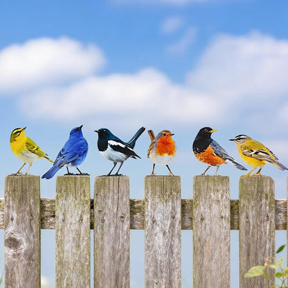 6 pcs Vivid Birds Decoration Metal Birds Fence Decorations Double-Sided Printed Birds Yard Decor Outdoor Bird Wall Decor Suitable for Bird 2D Sculptures Garden and Rustic Garden Decor