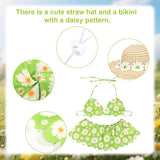 Lyreh Goose costume straw hat scarf costume, used for lawn sculpture, outdoor garden, courtyard, terrace decoration