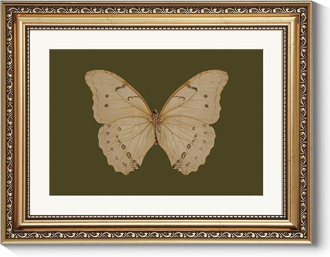 ARPEOTCY Vintage Gold Framed Wall Art, Classical White Butterfly Paintings, Dark Moody Green Canvas Prints Artwork with Frame, Victorian Wall Decor for Living Room Bathroom Bedroom 11x14 inch