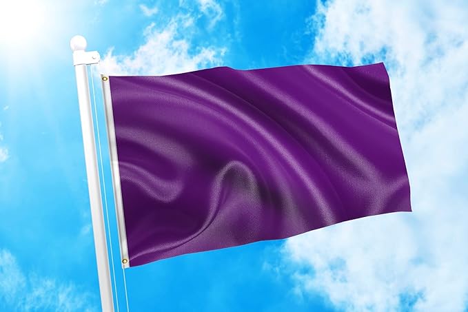 DMSE Solid Purple Flag, 3x5 Flag, UV Resistant, Fade Resistant Material with Metal Grommets (3ft x 5ft), (Polyester), (Purple)