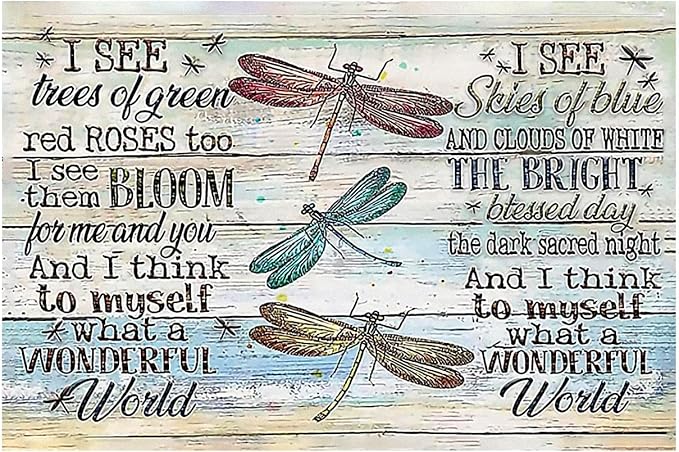 Dragonfly Tin Sign Metal Poster Vintage, What a Wonderful World, Wall Art Decor Gifts for Home Bar Kitchen Restaurant Bedroom Garden Plaque 8x12 Inch