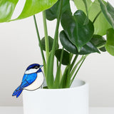 Hummingbird Gifts for Women Mom Grandma, Hanging Planter for Indoor Outdoor Garden, Bird Lover Plant Decor, Mothers Day Birthday Gifts from Daughter Son(6)
