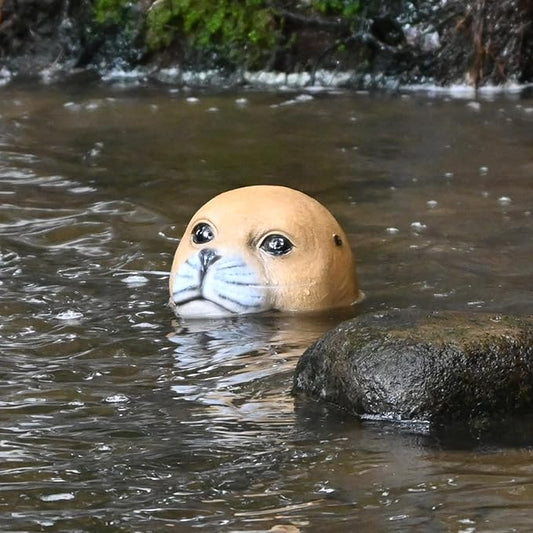 Seal Head Pool Float Decor Animals Floating Pond Decorations Accessories for Outdoor Ponds Backyard Patio Outside Gifts