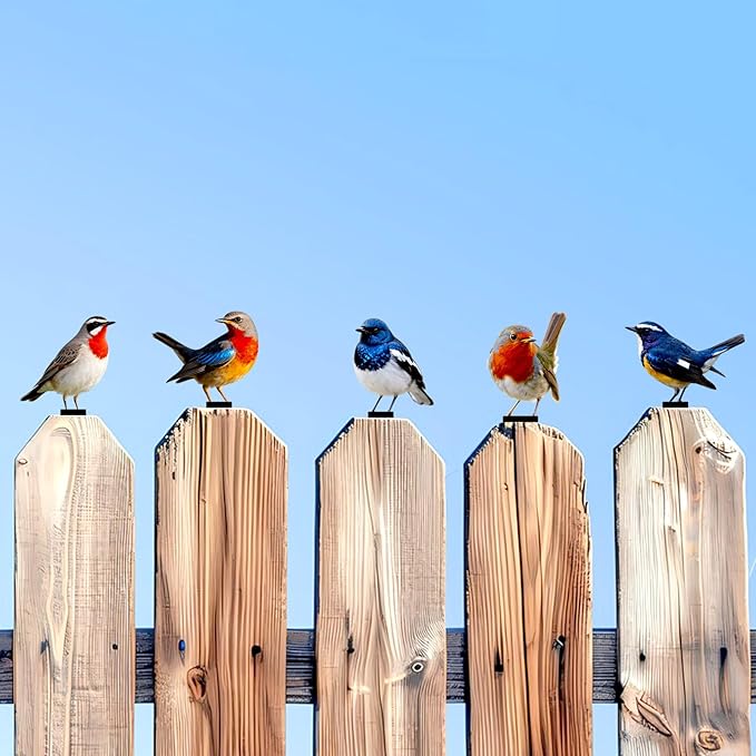 5 Pcs Vivid Bird Yard Decorations Natural Fence Decorations Outdoor Artificial Bird Color Painted 2D Sculptures for Outdoor Fences, Garden, Patio and Bird Lovers (Vivid Bird)