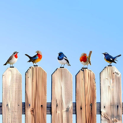 5 Pcs Vivid Bird Yard Decorations Natural Fence Decorations Outdoor Artificial Bird Color Painted 2D Sculptures for Outdoor Fences, Garden, Patio and Bird Lovers (Vivid Bird)