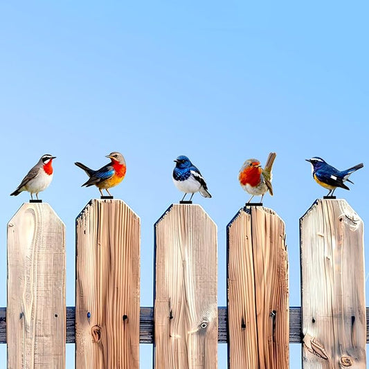 5 Pcs Vivid Bird Yard Decorations Natural Fence Decorations Outdoor Artificial Bird Color Painted 2D Sculptures for Outdoor Fences, Garden, Patio and Bird Lovers (Vivid Bird)