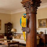 Tropical Parrot Statues Hanging Decor,13.6''(H) Wall Decor Parrot Sculpture for Home Porch Patio Door,Resin Macaw Statue Outdoor Garden Yard Tree Art Ornaments(Blue-and-Yellow)