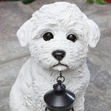 Bits and Pieces - Dog Solar Lantern Statue - Solar Powered Garden Lantern - Resin Dog Sculpture with LED Light - Outdoor Lighting and Décor (Bichon)