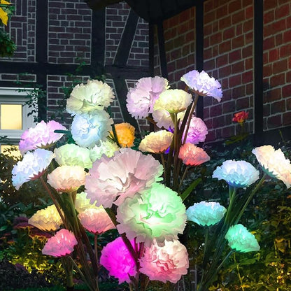 Solar Flowers Lights - Solar Garden Lights Outdoor Waterproof Carnations, 40 Hours Color Changing Solar Powered Outside Decor for Yard Patio Pathway Lawn, Gifts for Mom, 2pcs