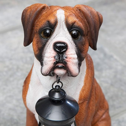 Bits and Pieces - Dog Solar Lantern Statue - Solar Powered Garden Lantern - Resin Dog Sculpture with LED Light - Outdoor Lighting and Décor (Boxer)
