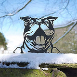Outdoor Metal Art Funny Peeping Animal Statue Stakes Fence Landscape for Yard Garden Decor Animal Silhouette Ornaments (Dog)