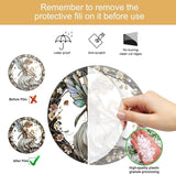 1PC Flower Fairy Acrylic Stained Glass Suncatcher Nature Round Flowers and Girls Suncatcher Hanging Decoration with Metal Chain-SunCatchers for Window Decor Outdoor Garden Decor Gift (C)