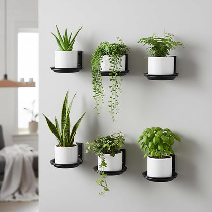 6 Pack 4'' Wall Mount Plant Holder with 8 Replaceable Trays, Heavy Duty Metal Flower Pot Holder Ring, Plant Hanger for Wall Indoor, Ring Planter Bracket for Outside Outdoor Bird Feeder Bath