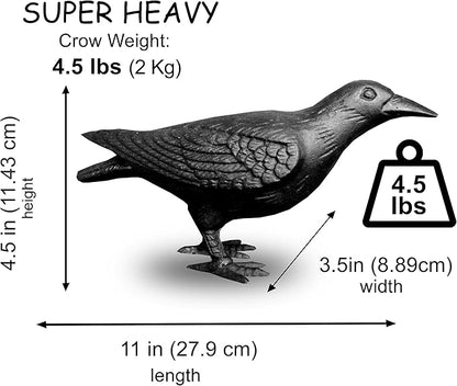 NACH Crow Decor, 4.5 x 11 x 3.5 inch, Cast Iron Black Raven Statue, Raven Decor for Outside - Head Up Crow Statue